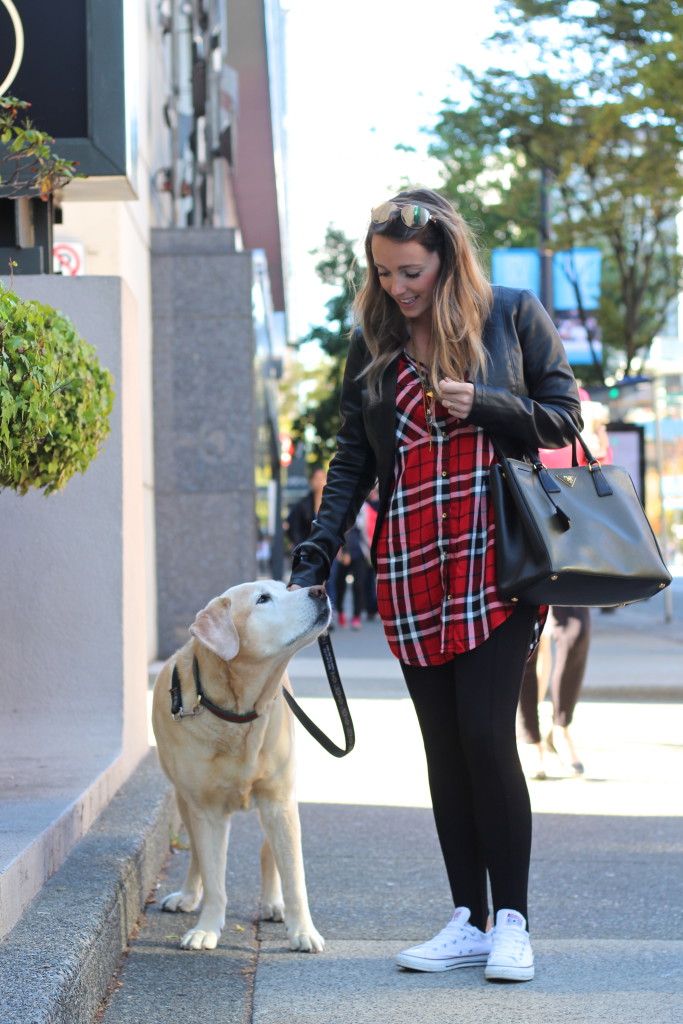 Puppy Love in YVR Style Travel Uncatagorized  