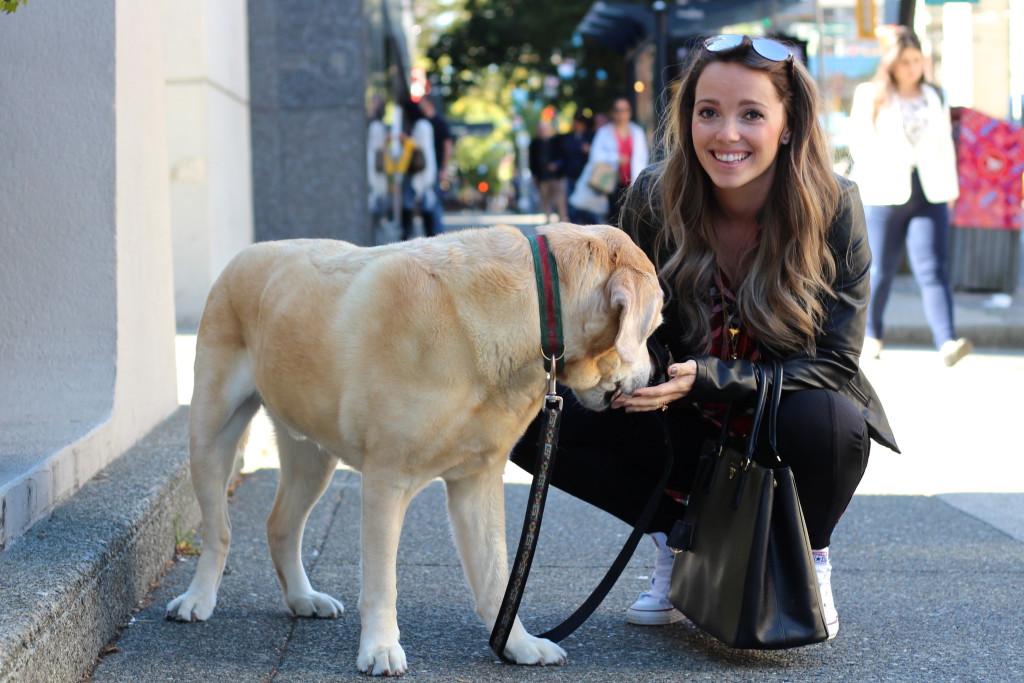 Puppy Love in YVR Style Travel Uncatagorized  