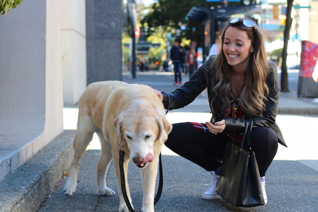 Puppy Love in YVR Style Travel Uncatagorized  