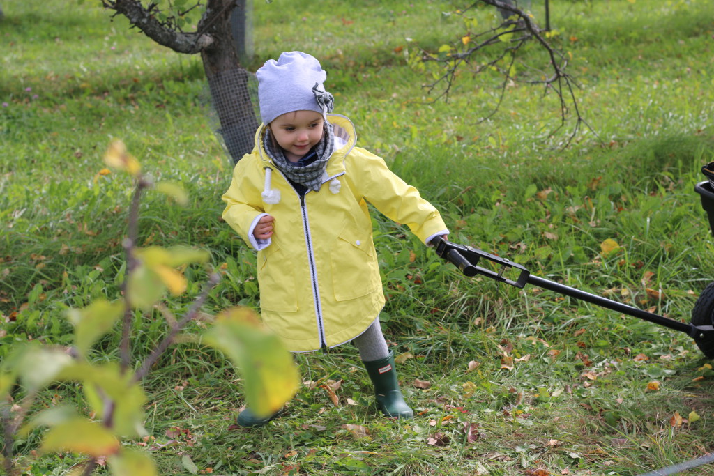 AUTUMN ORCHARDS Living Style Uncatagorized  