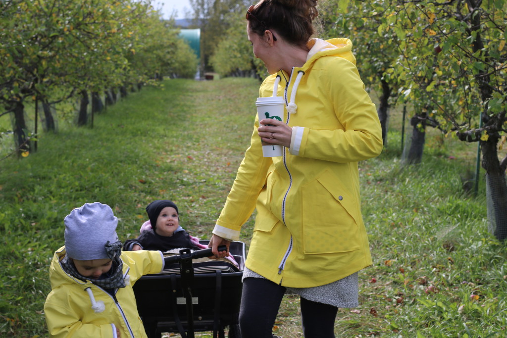 AUTUMN ORCHARDS Living Style Uncatagorized  