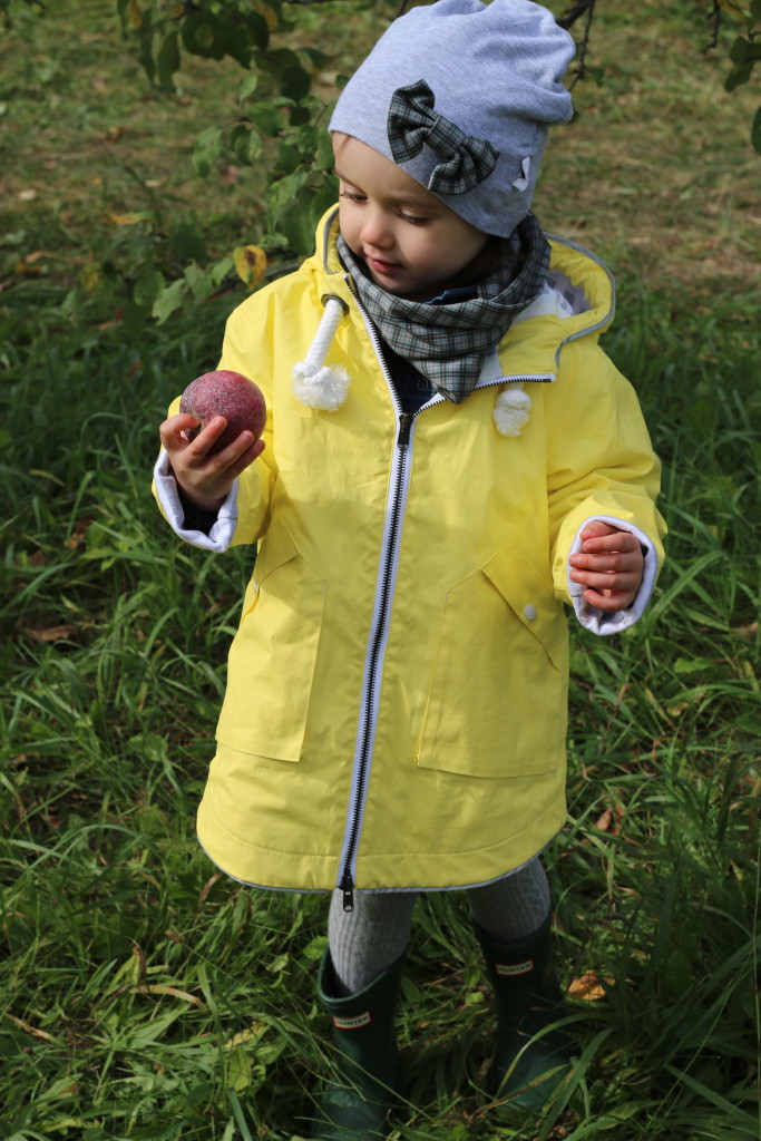 AUTUMN ORCHARDS Living Style Uncatagorized  