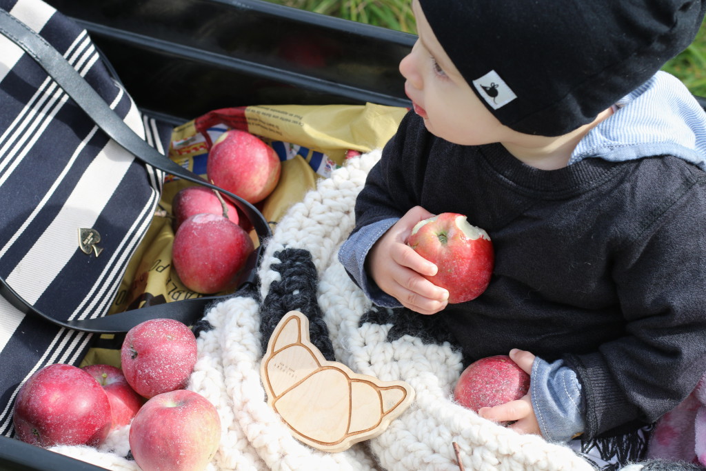 AUTUMN ORCHARDS Living Style Uncatagorized  