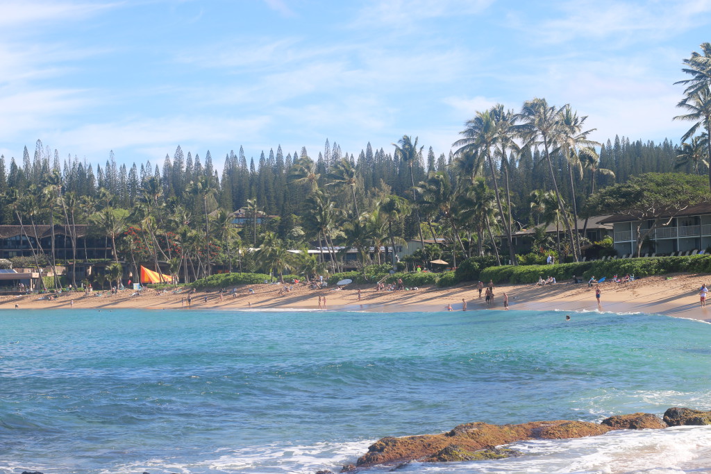 Hawaii  I Decor Living Travel Uncatagorized  