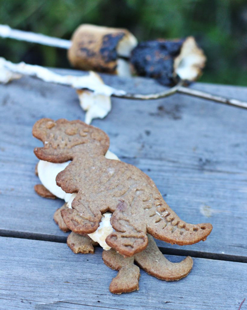 Dinosaur S'mores Food Living Recipes  