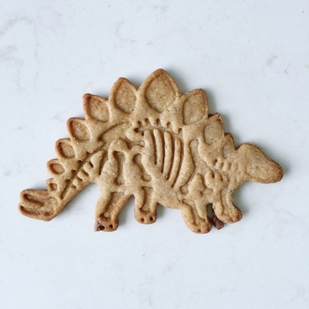 Dinosaur S'mores Food Living Recipes  