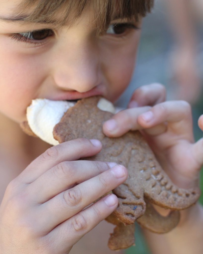 Dinosaur S'mores Food Living Recipes  