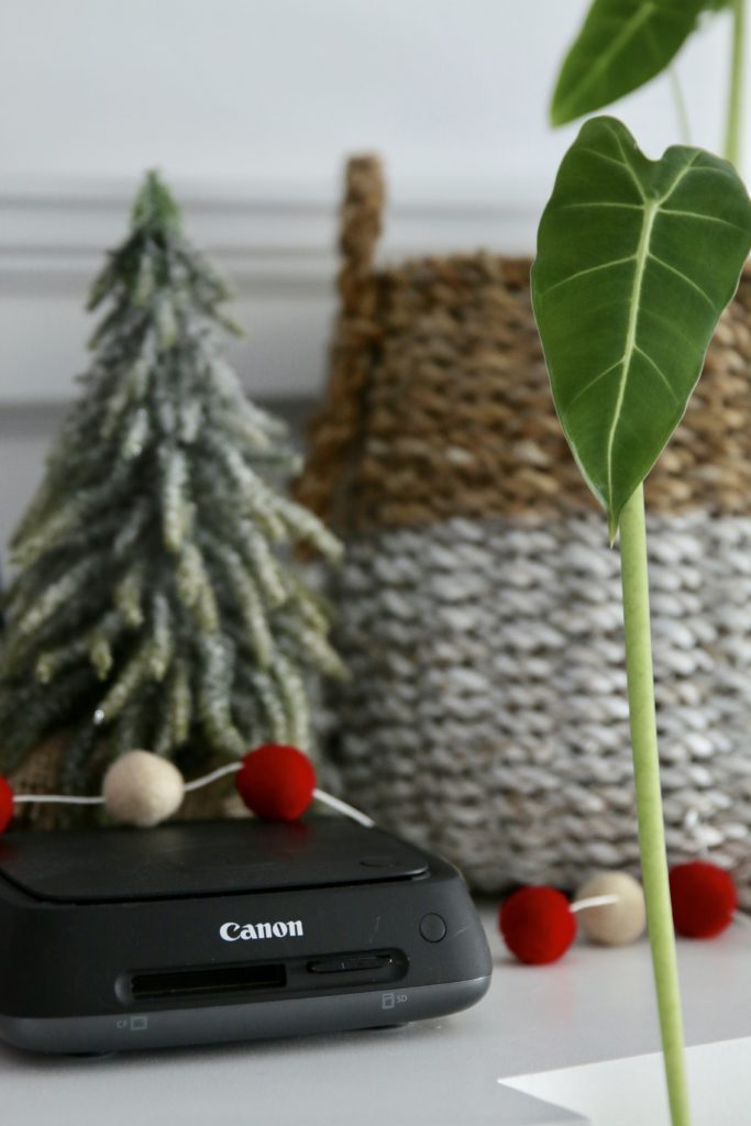 Holiday Gifting: CS100 Decor Food Living Style  