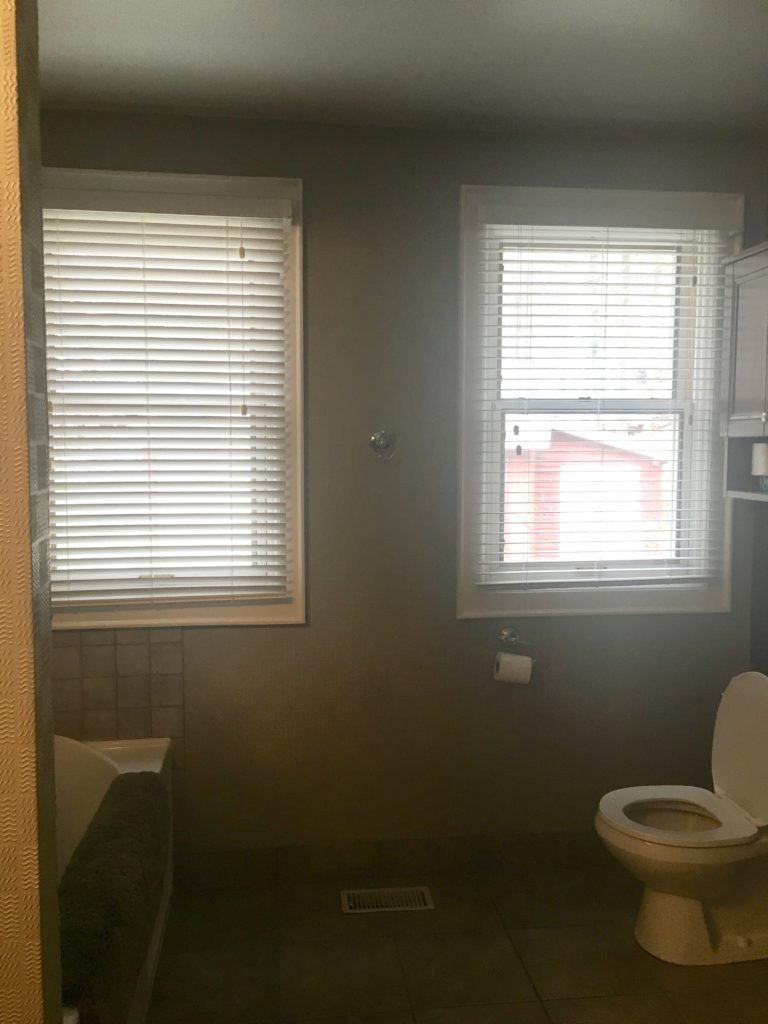 Wayfair Bathroom Inspo Decor DIY Living  