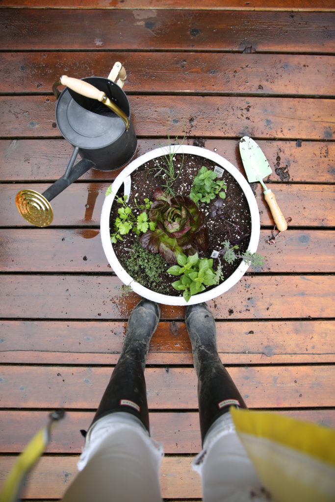 Gardening Fun with 2 Lenses DIY Living Uncatagorized  