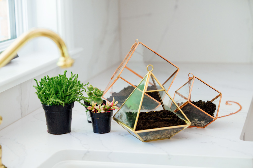 DIY terrarium with Homesense DIY Living Uncatagorized  