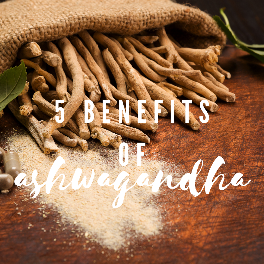 5 Benefits of Ashwagandha Food  